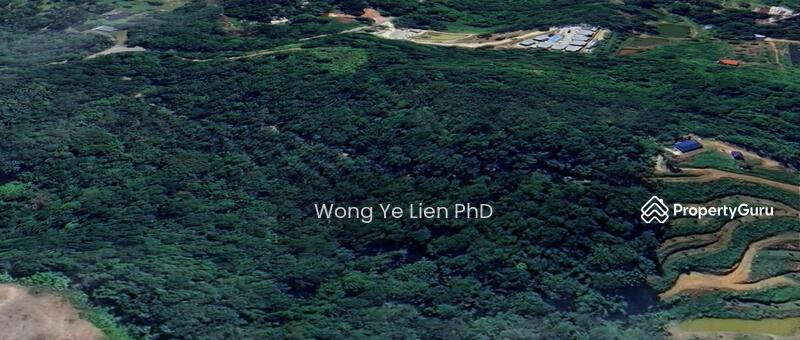 www.drwongproperty.com