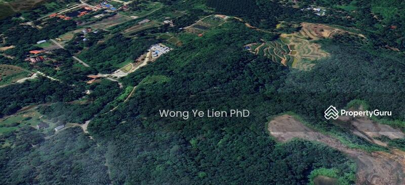 www.drwongproperty.com