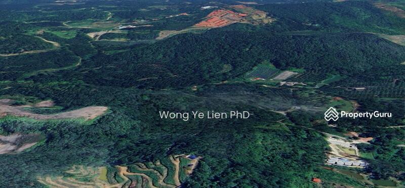 www.drwongproperty.com