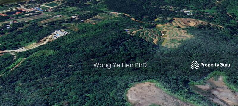 www.drwongproperty.com