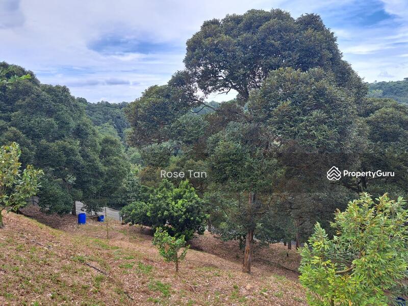 For Sale - Kampung Kundur Hilir , Seremban Negeri Sembilan