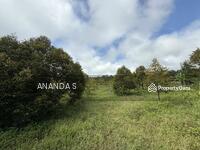 For Sale - Raub Pahang Agriculture Land