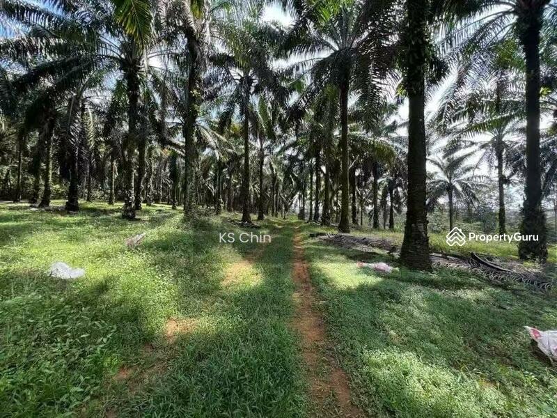 For Sale - Kulai