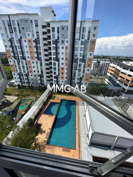 For Sale - Aronia