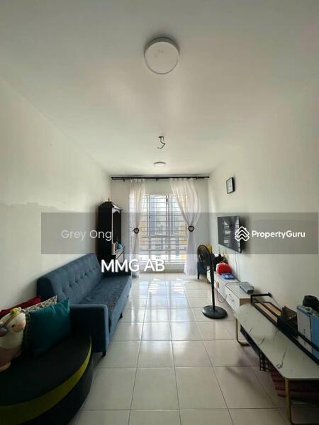 For Sale - Aronia
