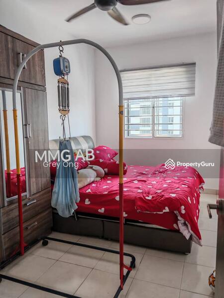 For Sale - Aronia