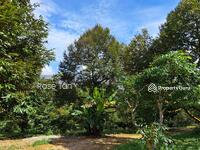 For Sale - Durian Orchard Near Raub Tras Town