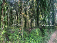 For Sale - kerling, selangor