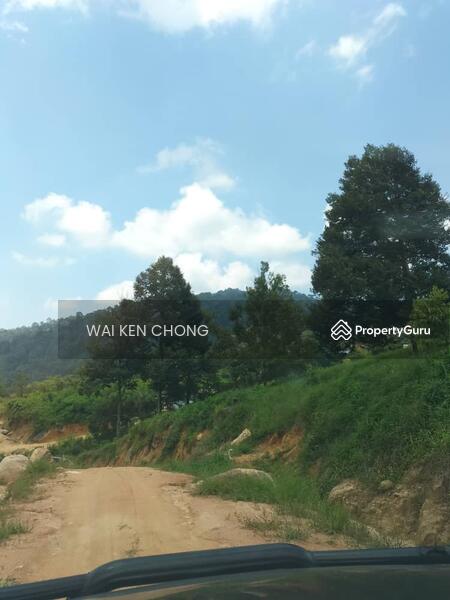 Untuk Dijual - 700 acres plantation land, Bentong for Sale