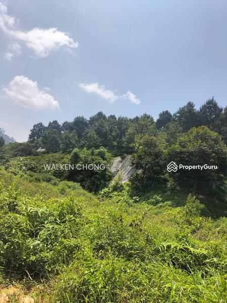 Untuk Dijual - 700 acres plantation land, Bentong for Sale