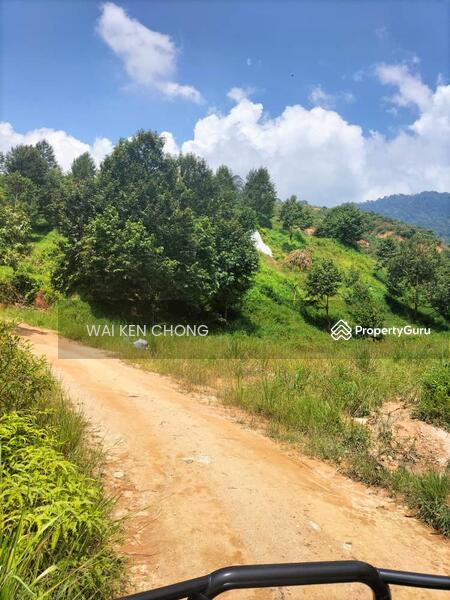 Untuk Dijual - 700 acres plantation land, Bentong for Sale