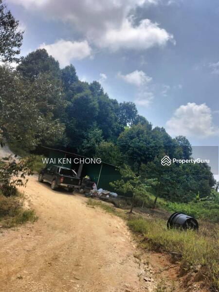 Untuk Dijual - 700 acres plantation land, Bentong for Sale