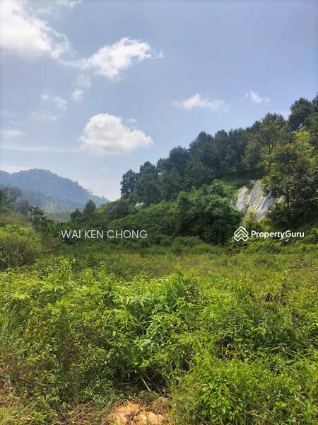 Untuk Dijual - 700 acres plantation land, Bentong for Sale