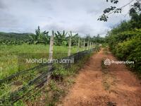 For Sale - [Tanah Pertanian Freehold] + Harga Bawah Pasaran