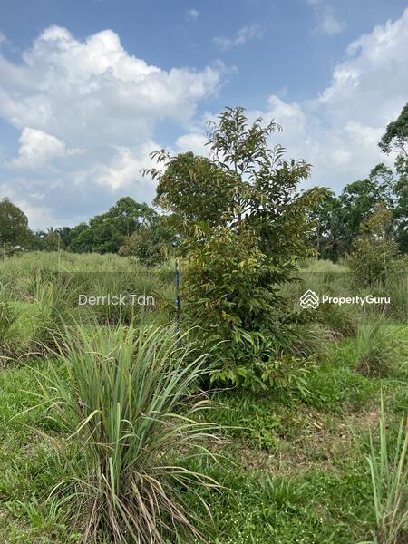 Agricultural Land for Sale in Kulai (Johor) - Derrick Tan - PropertyGuru.com.my