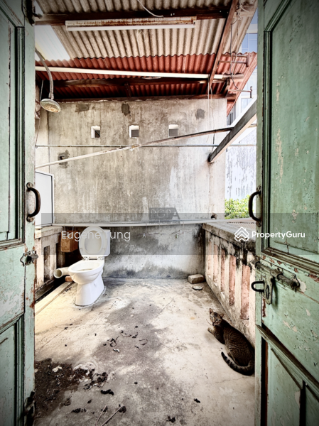 For Sale - Double-Storey Heritage Shophouse with Garage (Rare in Market)