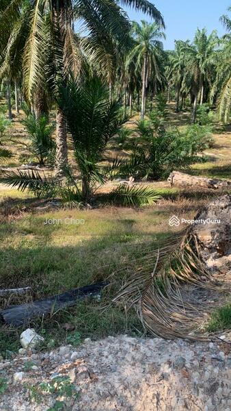 Untuk Dijual - Pahang @ Kemayan 100 Acres Agricultural Land For Sale