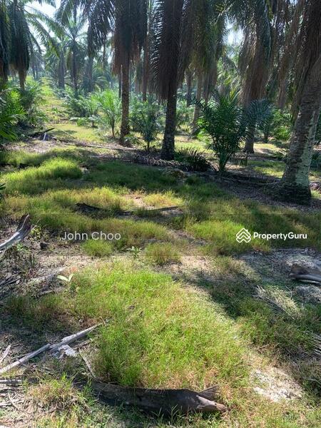 Untuk Dijual - Pahang @ Kemayan 100 Acres Agricultural Land For Sale