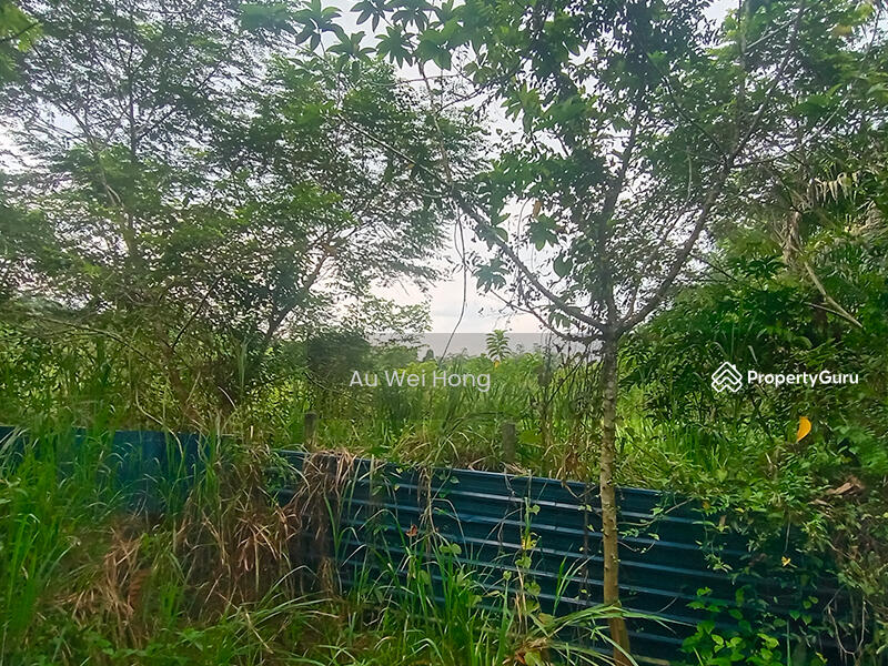 For Sale - Simpang Ampat Land For Sale
