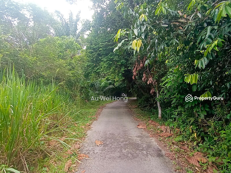 For Sale - Simpang Ampat Land For Sale
