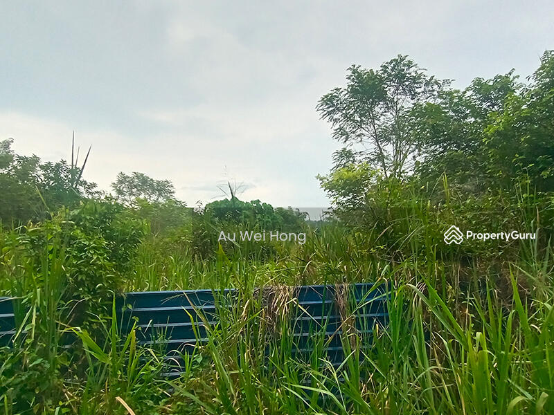 For Sale - Simpang Ampat Land For Sale