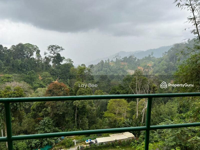 For Sale - Tanarimba