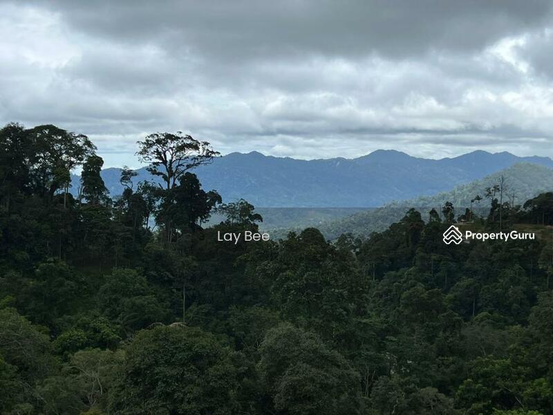 For Sale - Tanarimba