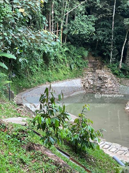 For Sale - Tanarimba