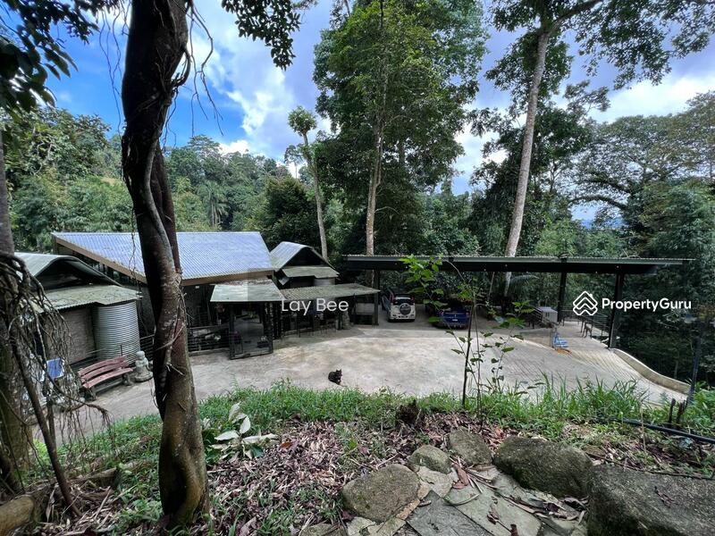 For Sale - Tanarimba