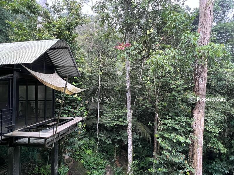 For Sale - Tanarimba