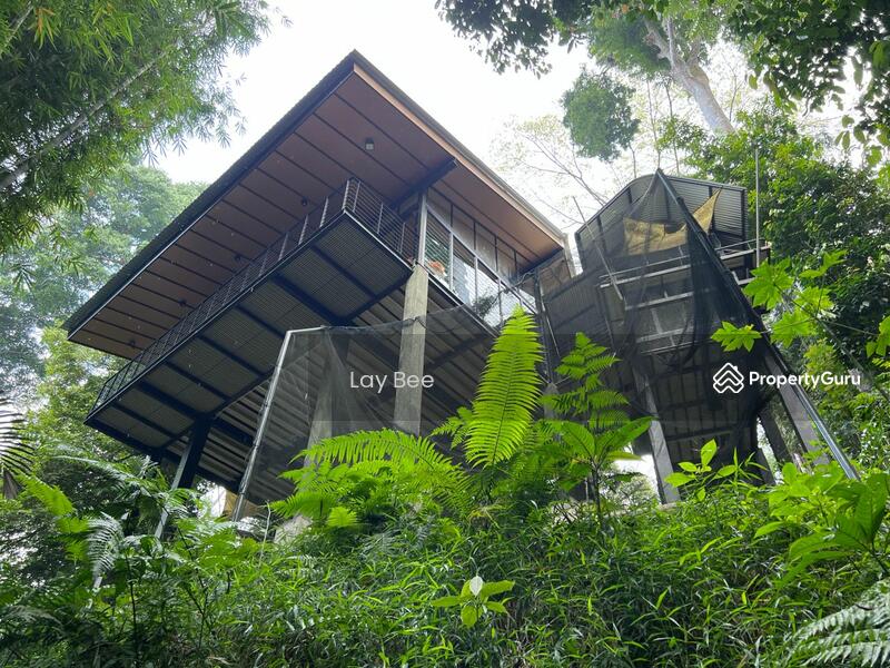 For Sale - Tanarimba