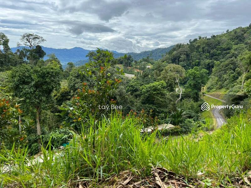 Agricultural Land for Sale in Bentong (Pahang) - Lay Bee - PropertyGuru.com.my