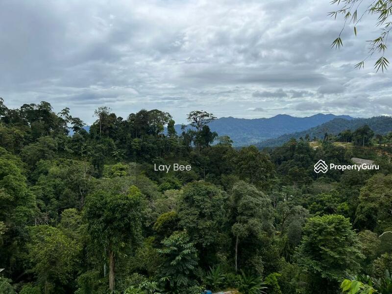 Agricultural Land for Sale in Bentong (Pahang) - Lay Bee - PropertyGuru.com.my