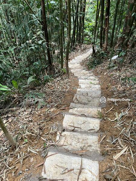 Agricultural Land for Sale in Bentong (Pahang) - Lay Bee - PropertyGuru.com.my