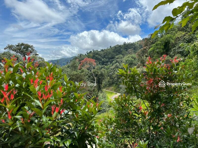 Agricultural Land for Sale in Bentong (Pahang) - Lay Bee - PropertyGuru.com.my