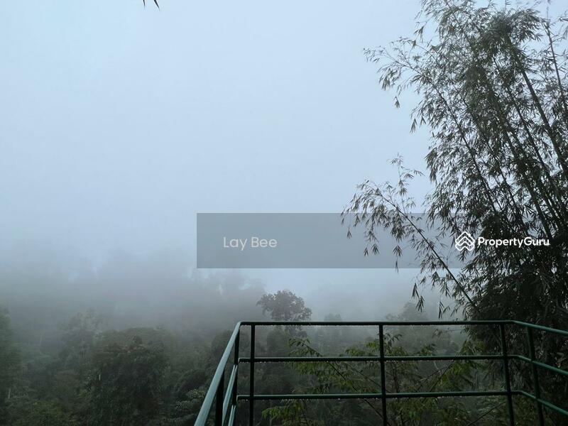 Agricultural Land for Sale in Bentong (Pahang) - Lay Bee - PropertyGuru.com.my