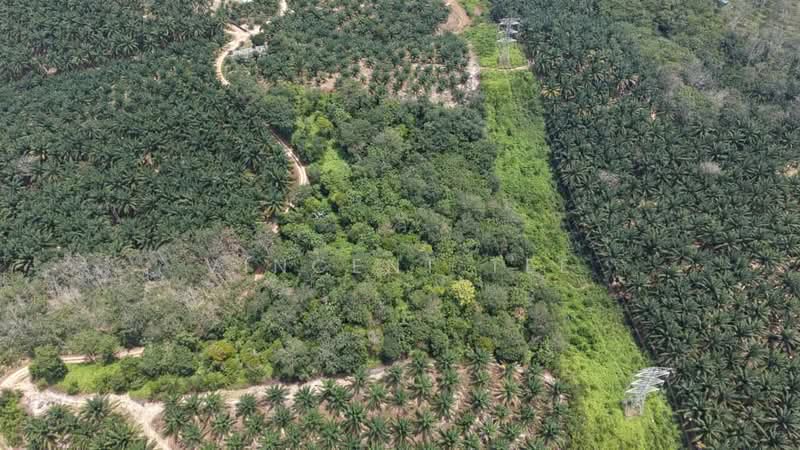 Agricultural Land for Sale in Bandar Ekar (Rantau) - Vincent Tee - Exterior - PropertyGuru.com.my