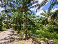 For Sale - Freehold 26-Acre Land for Sale at Panchang Bedena, Sabak Bernam