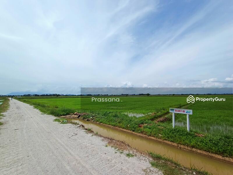 Untuk Dijual - Permatang Tok Gelam