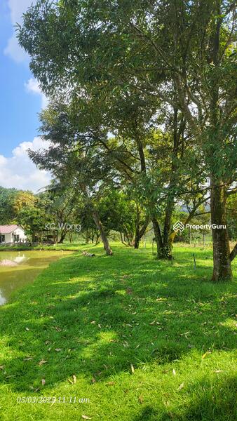 For Sale - Bandar Country Homes