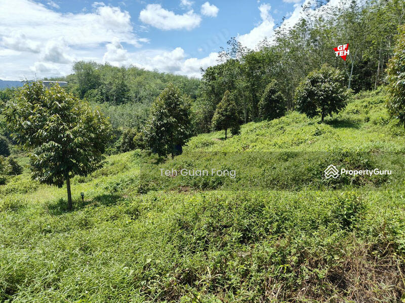 Agricultural Land for Sale in Bandar Baru Lenggong (Lenggong) - Teh Guan Fong - PropertyGuru.com.my