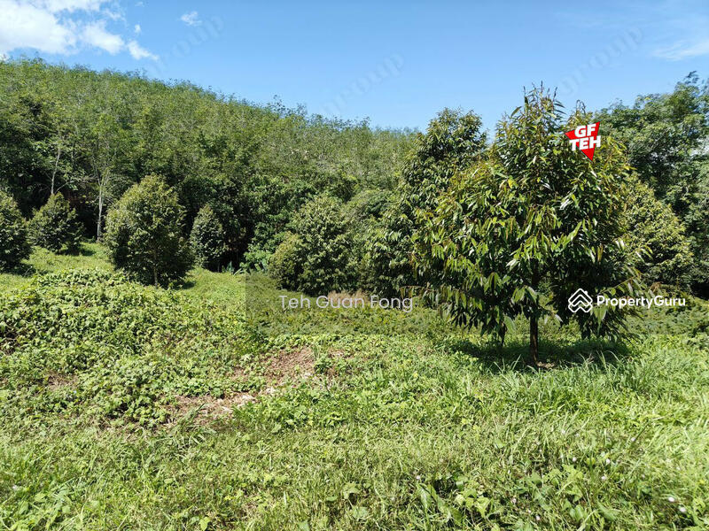 Agricultural Land for Sale in Bandar Baru Lenggong (Lenggong) - Teh Guan Fong - PropertyGuru.com.my