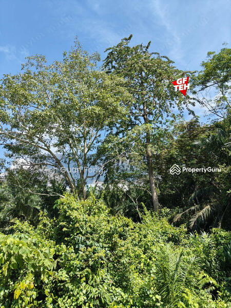 Tanah Pertanian untuk Dijual di Bandar Baru Lenggong (Lenggong) - Teh Guan Fong - PropertyGuru.com.my