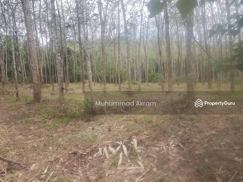 Untuk Dijual - Tanah Pertanian Getah Di Jeneri Sik 2.55 Ekar Untuk Dijual