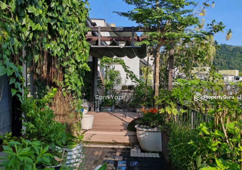 For Sale - 20trees
