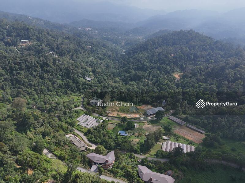 For Sale - Janda Baik, Bentong