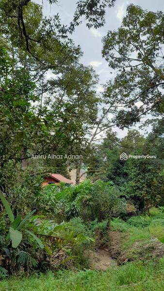 Tanah Pertanian untuk Dijual di Kampung Paroi (Paroi) - Amru Alhaz Adnan - PropertyGuru.com.my