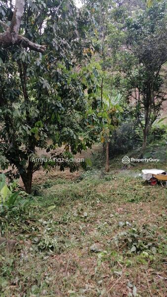 Tanah Pertanian untuk Dijual di Kampung Paroi (Paroi) - Amru Alhaz Adnan - PropertyGuru.com.my