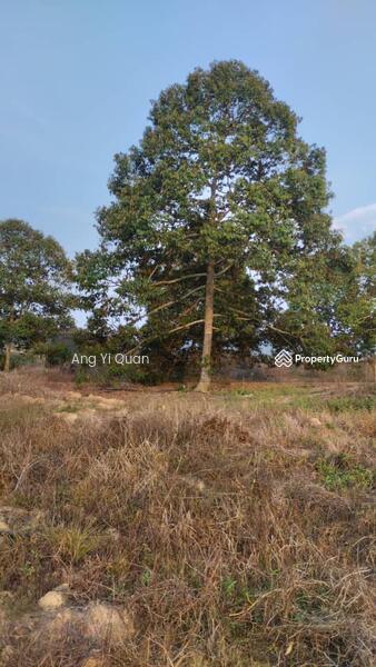 Agricultural Land for Sale in Simpang Pertang (Negeri Sembilan) - Ang Yi Quan - PropertyGuru.com.my