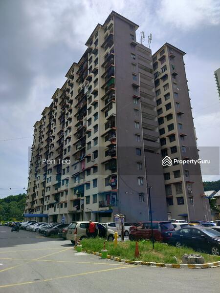 For Rent - Mutiara Perdana